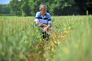 Shawbirch farmer