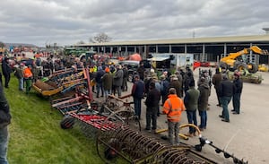 A section of the large crowd at Friday’s sale.