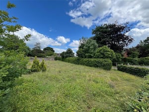 The plot of land that is for sale. Picture: Rightmove and Balfours LLP.