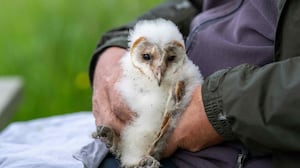 Jamie won in the Better World category with her picture of an owl, called ‘Ready for bed’