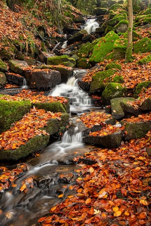 Peter Palmer in Autumn   