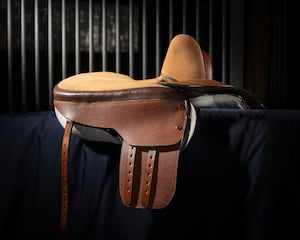 Kate's prize winning saddle