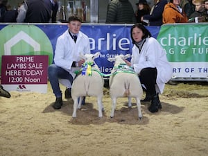 Supreme Sheep Champion: A pair of Beltex lambs from E.F. Gittoes & Son of Bryndu Farm, Powys., which sold for £650