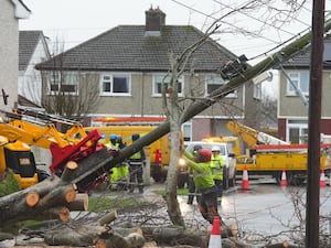 Workers clear a fallen tree in a street