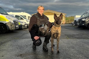 PC Hannah Jones is a dog handler based predominantly in Carmarthenshire.