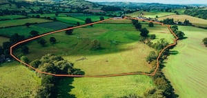 The 38 acres site near Sarn