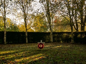 A poppy wreath and cross in front of trees and a hedge at the tree cathedral