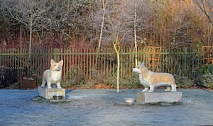 Frosty weather at Walsall Arboretum