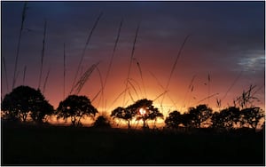 Sunset Silhouette 