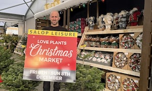 Love Plants manager Tom Pountney with some of the Christmas trees and wreaths on offer.