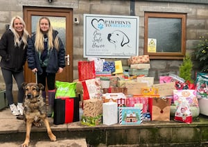 Presents delivered to Pawprints to Freedom.