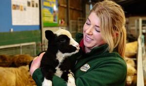 A staff member welcomes a lamb at Park Hall Countryside Experience