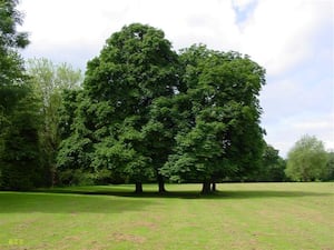 The Recreation Ground Trust in Kington has been given a £95,000 grant by the town council to support its work for the coming year.