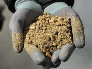 A gloved pair of hands holding biomass fuel