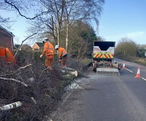 Fallen trees around Shropshire. Photo: Shropshire Council