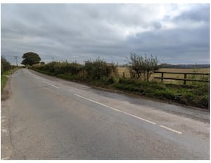 The picture is taken from a road and shows a hedgerow boundary to a farm field. Picture from planning documents. Picture: By Churton Ecology/Harrison Pick