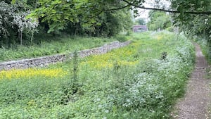 How it looked heading North before the work. Picture: Shropshire Union Canal Society