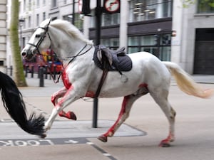 Vida bolting through the streets of London