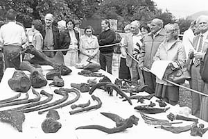 Mammoth bones were discovered at a quarry at Condover on September 27, 1986