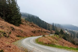 Severn Valley Stages Rally scheduled for April is another Storm Darragh victim following extensive damage in Mid Wales forests.

Photo credit: Andrew Scott Photography