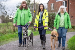 David Wilson Homes is proud to support the Greyhound Trust celebrate the Christmas Season