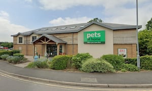 Hill stole dog harnesses worth £200 from Pets at Home. Photo: Google