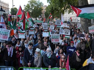 Pro-Palestine protesters waving flags and holding placards