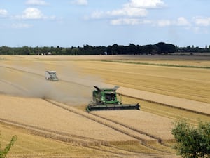 A combine harvester at work in a field of wheat