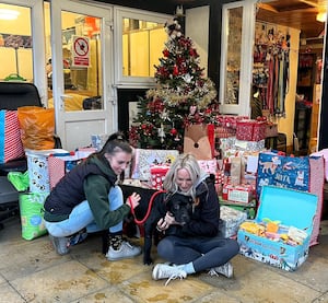 Presents piled high at Forest Dog Rescue.