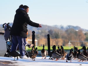 Winter weather Jan 9th 2025