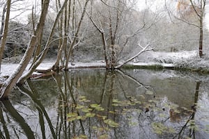 Snowy Shropshire. Chris Warrender visited Mousecroft Pool. Picture: Chris Warrender.