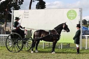 
The Royal Welsh Agricultural Society is delighted to announce the esteemed panel of equine judges for the highly anticipated 2025 Royal Welsh Show. 