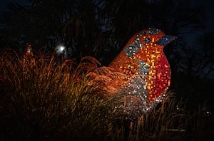 Chester Zoo's magical lanterns and light trail has opened.