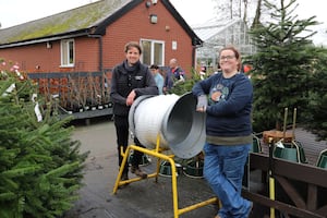 Will and Jo sold Christmas trees in the Garden Centre