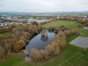 Fish deaths have been reported at Springfield Mere in Shrewsbury