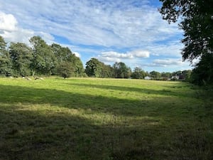 More than five acres of land will go under the hammer on Friday, November 29. Picture: Halls.