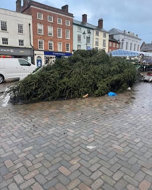 Ludlow's Christmas tree horizontal after storm winds snap its base