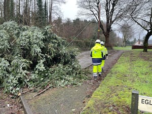 Electricity engineers inspect damage by fallen trees blocking Eglantine Road near Hillsborough (PA)