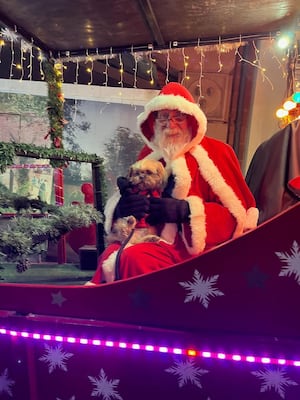 Santa welcomes dog aboard his sleigh.