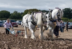     Bryony Gill from St Austell, Cornwall, one of our equines with Laddy & Angel  