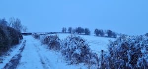 Snow at Little Wenlock on Sunday morning. Photo: Lena Jarl Churm