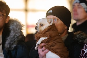 Shrewsbury's Christmas light switch-on