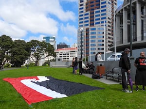 Protesters against the Treaty Principles Bill stand by a Maori sovereignty flag outside parliament in Wellington, New Zealand