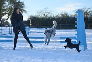 Hattie with Chester on the agility course.