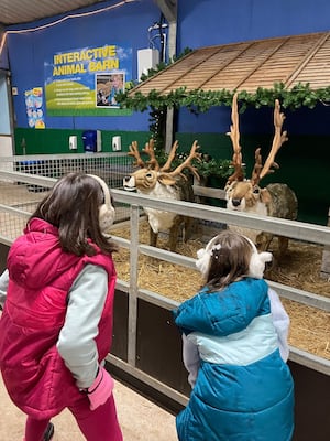 More Christmas fun at the farm