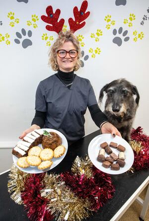 Some festive treats, such as chocolate, mince pies and Christmas cake, can be toxic to pets.