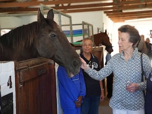 The Princess Royal in the stables during a visit to the South African Riding School for Disabled Association (SARDA) while on her two-day to trip to South Africa