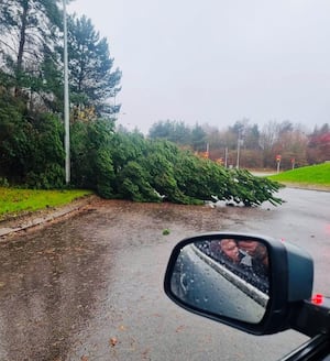 A tree down in Telford over the weekend.