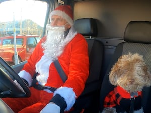 Bowie the labradoodle puppy helps bring Christmas cheer sitting beside a man dressed as Santa