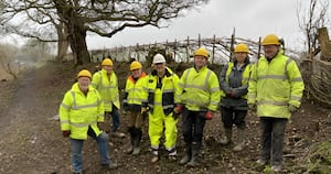 SUCS volunteers after hedge laying.